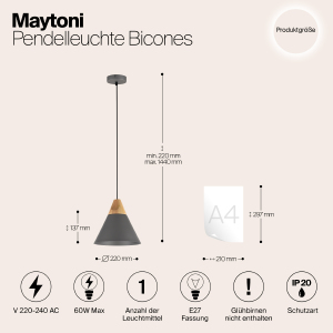 Светильник подвесной Maytoni Bicones P359-PL-220-C