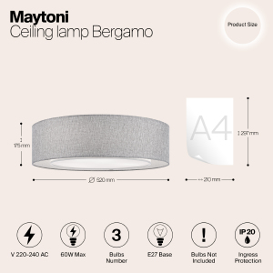 Светильник потолочный Maytoni Bergamo MOD613CL-04GR