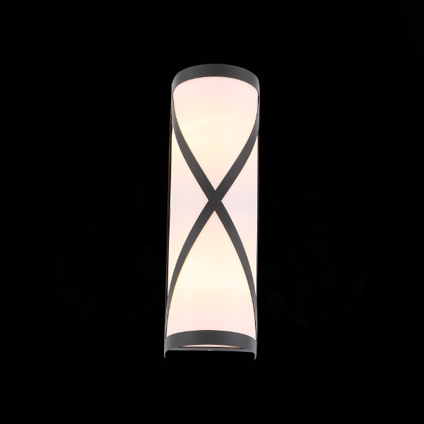 Уличный настенный светильник ST Luce Agio SL076.411.01