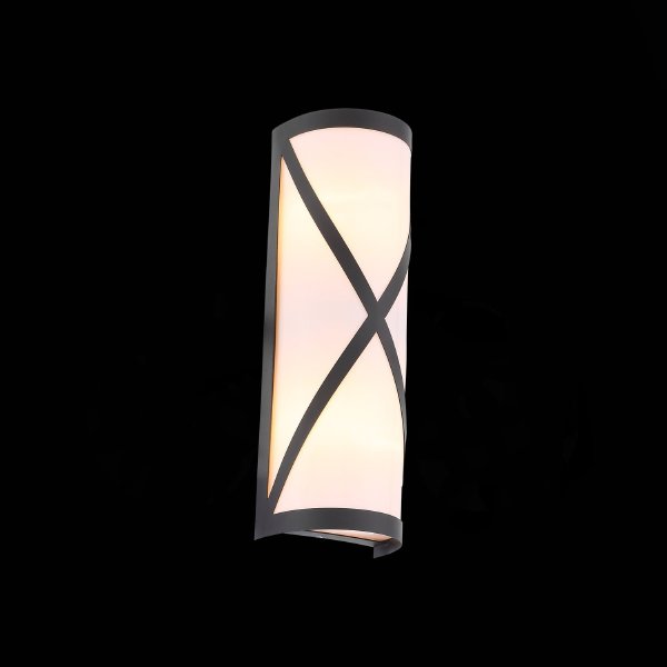 Уличный настенный светильник ST Luce Agio SL076.411.01