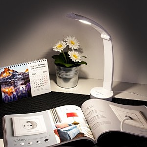 Настольная лампа Eurosvet Rizar Rizar белый (TL90500)