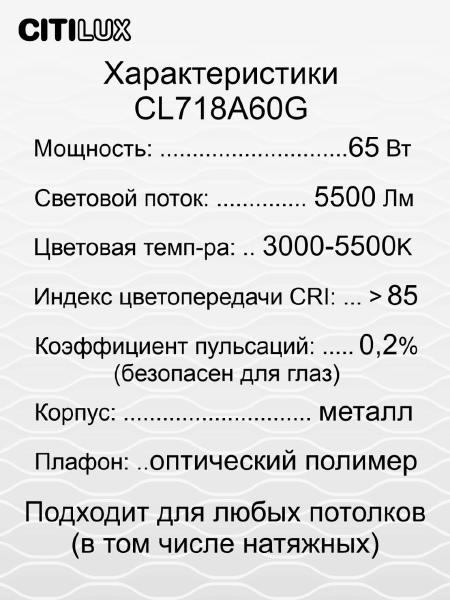 Потолочный светодиодный светильник Citilux Альпина CL718A60G