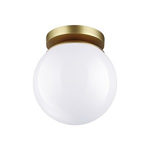 Уличные потолочные Odeon Light Bosco 4247/1C