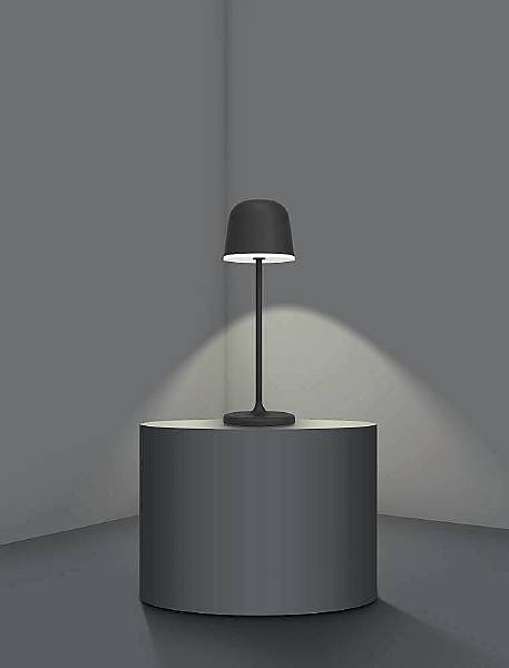 Настольная лампа Eglo Mannera 900457