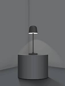 Настольная лампа Eglo Mannera 900457