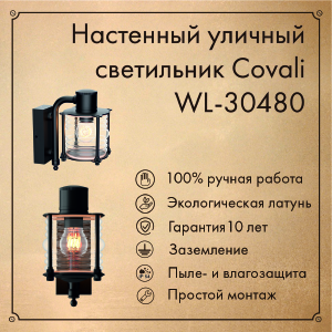 Уличный настенный светильник Covali WL-30480