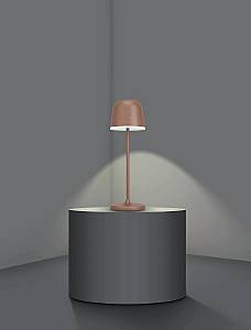 Настольная лампа Eglo Mannera 900459
